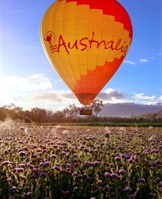 Celebrate the Chinese New Year Hot Air Balloon fest in Cairns